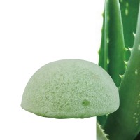Konjac Sponge Aloe Vera Konjac Sponge Aloe Vera